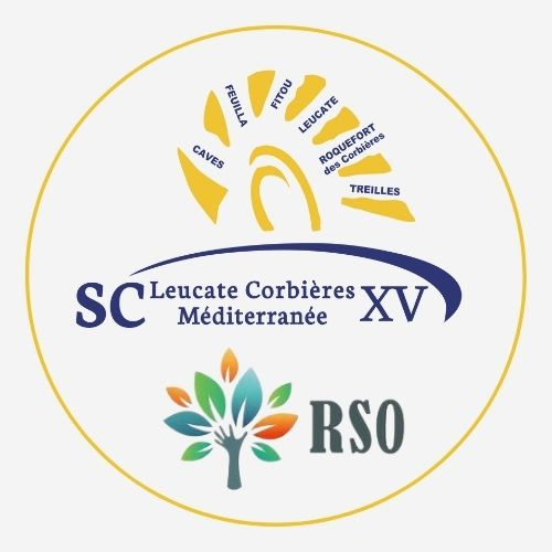 logo SCL RSO.jpg